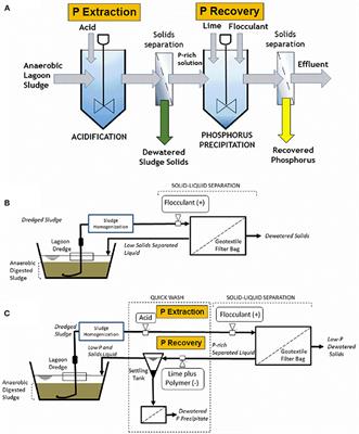 Economic Recovery of Calcium Phosphates From Swine Lagoon Sludge Using Quick Wash Process and Geotextile Filtration